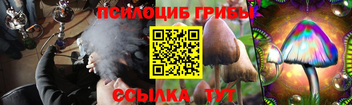 Псилоцибиновые грибы прущие грибы  как найти закладки  Урус-Мартан  Вход с VPN 